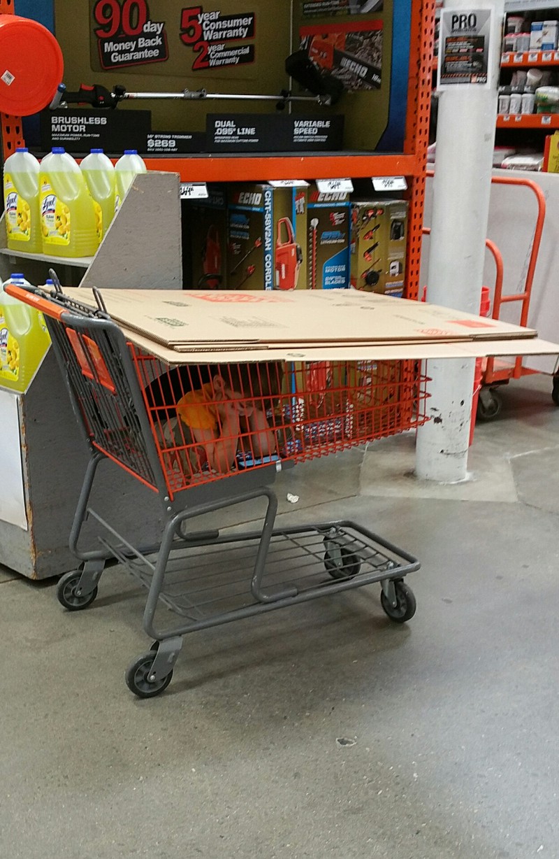 Wenn der Vater den Sohn mit in den Baumarkt nimmmt