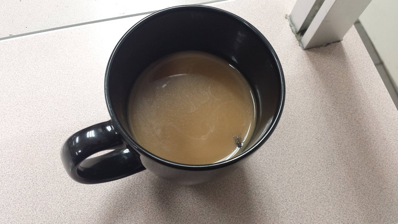 Eine Fliege im Kaffee macht den Tag automatisch zum schlimmsten Arbeitstag.