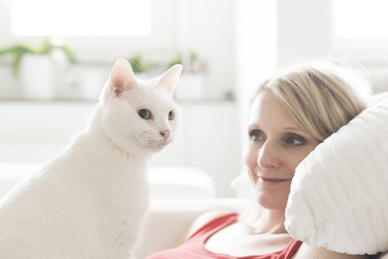Ein Paar ließ sich scheiden, weil sie sich nicht auf dem Namen einer Katze einigen konnten.