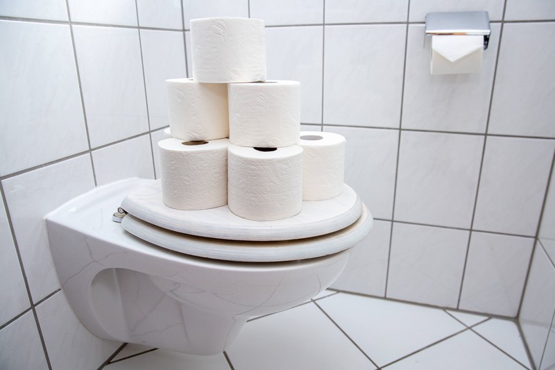 Außer Toilettenpapier sollte nichts in der Toilette landen.