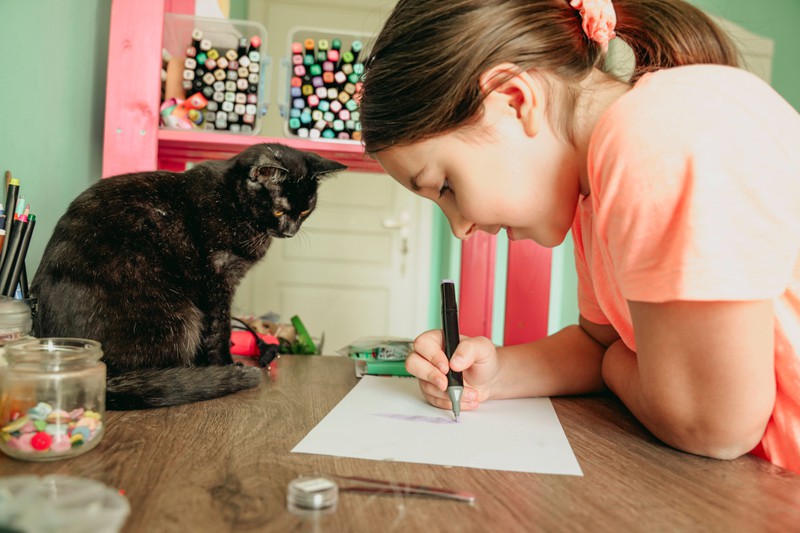 Auch Katzen können die Hausaufgaben gefressen haben. Auch wenn es selten vorkommt
