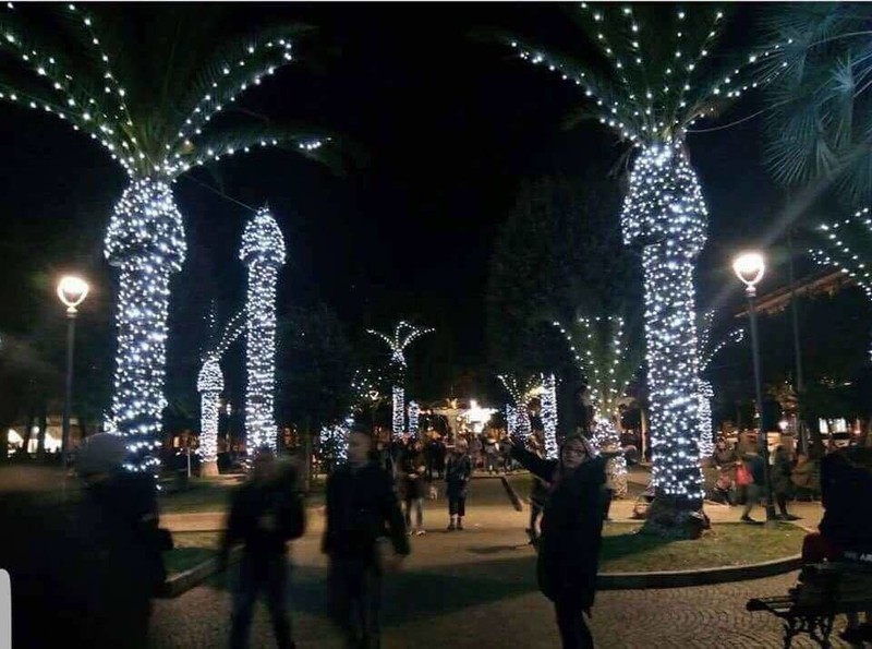 An Weihnachten sollte man lieber keine Lichterketten um Palmen binden, denn das ist ein Fail