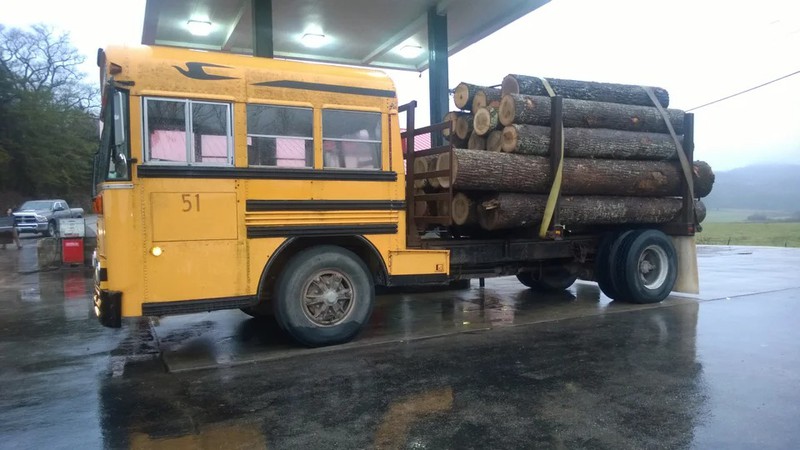Ein alter Schulbus, der jetzt Bäume transportiert