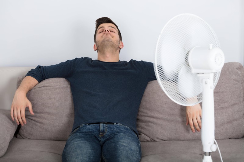 Ein Ventilator kann genau das Richtige gegen die Hitze sein.