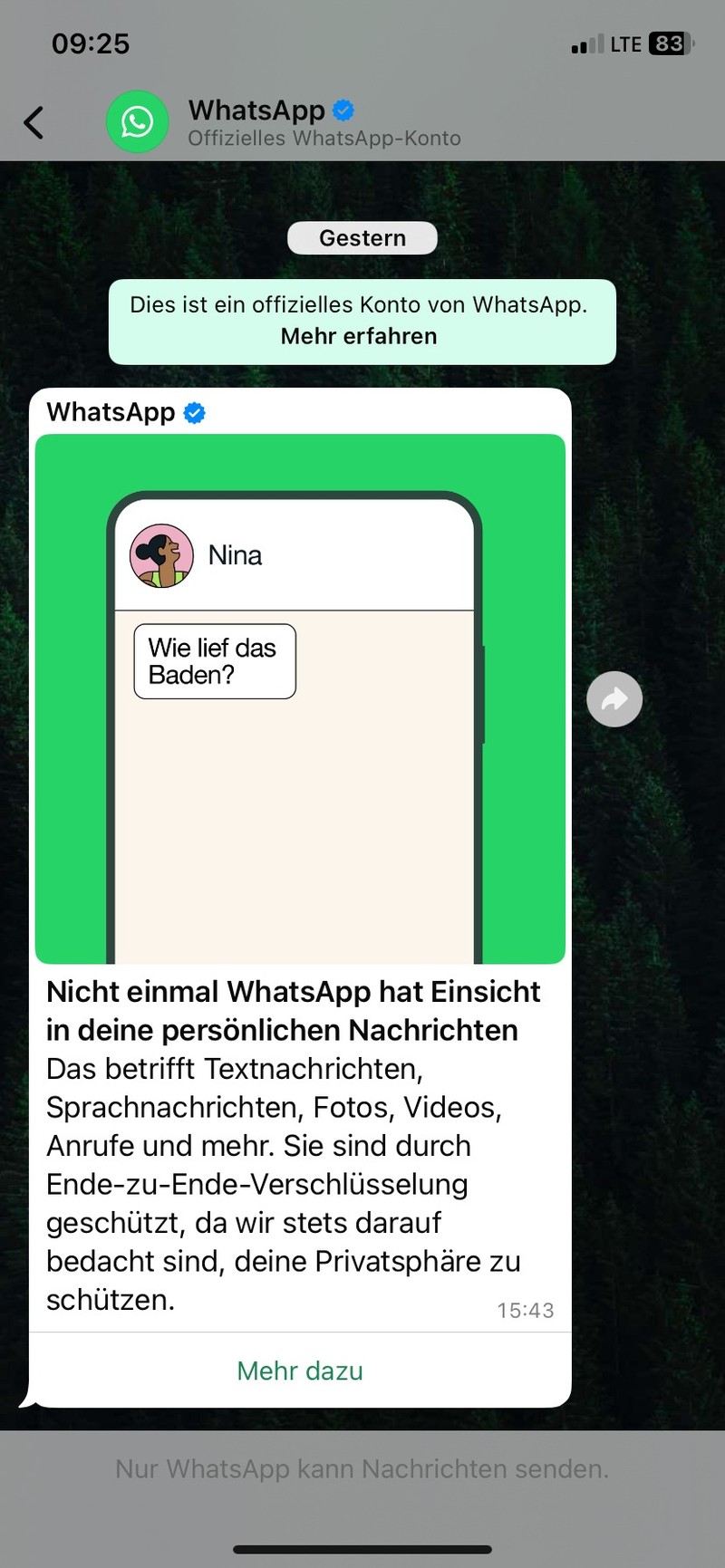 Im Juni 2025 wurde der WhatsApp-Chat eingeführt.
