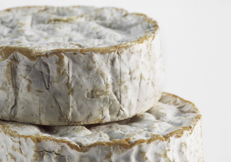 In Frankreich gab es einen Listeriose-Ausbruch, der mit Käse in Zusammenhang gebracht wird.