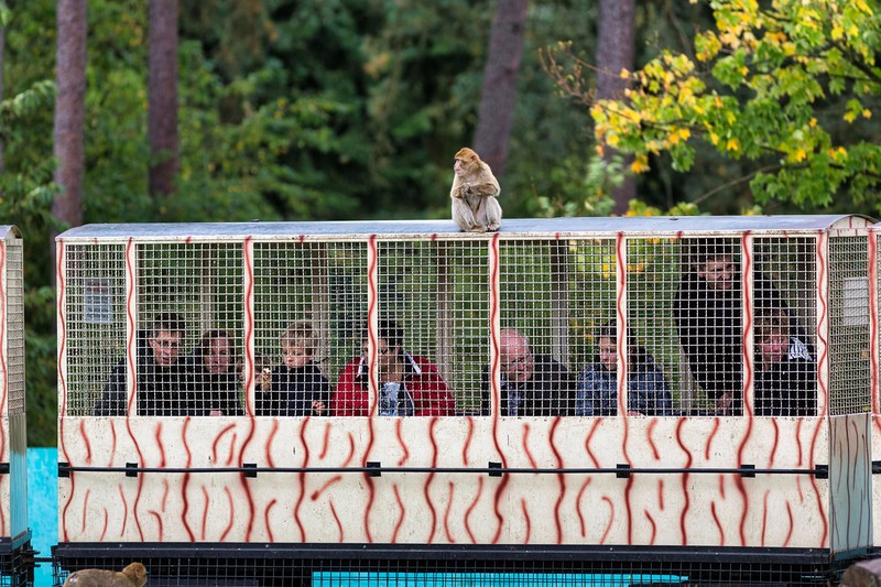 Für Tierliebhaber wie dich lohnt es sich, einen Blick auf die Websites der Zoos und Tierparks zu werfen.