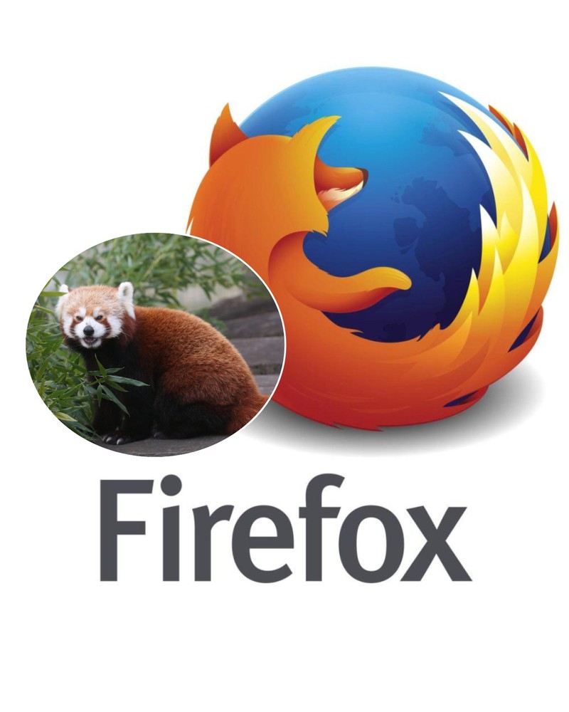 Der Browser Firefox hat gar nichts mit einem Fuchs zu tun!
