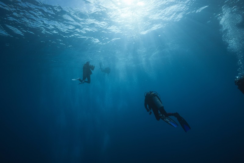 Manche Menschen tendieren, aufgrund individueller Ereignisse, eher dazu, eine Thalassophobie auszubilden.