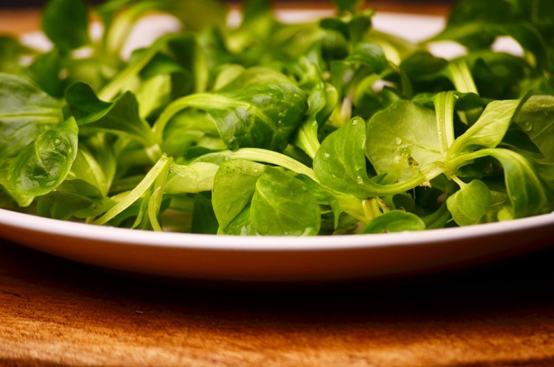 Feldsalat hat im Herbst und Winter Saison.