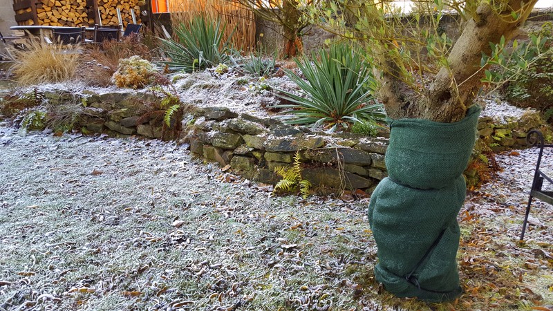 Pflanzen sollte man im Winter immer abdecken. So werden Frostschäden vermieden.