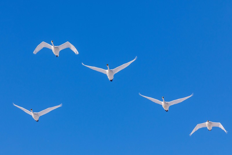 Der Himmel ist blau.