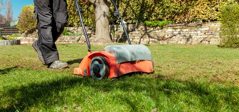 Bei einigen trocknet der Rasen aus, obwohl sie regelmäßig gießen.