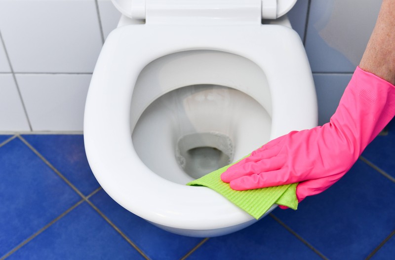 Der Toilettensitz und der Boden vor der Toilette sollten mindestens einmal pro Woche gereinigt werden.