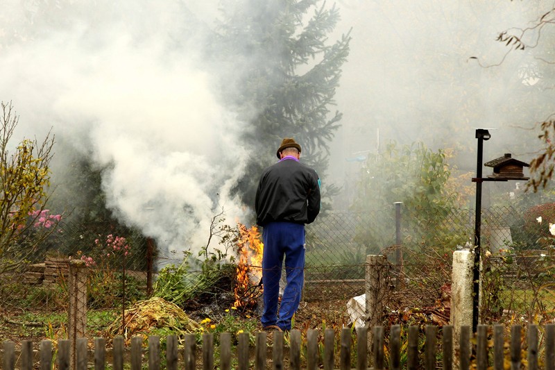 Ab Januar 2029 wird das Verbrennen von Gartenabfällen in Mecklenburg-Vorpommern vollständig verboten.