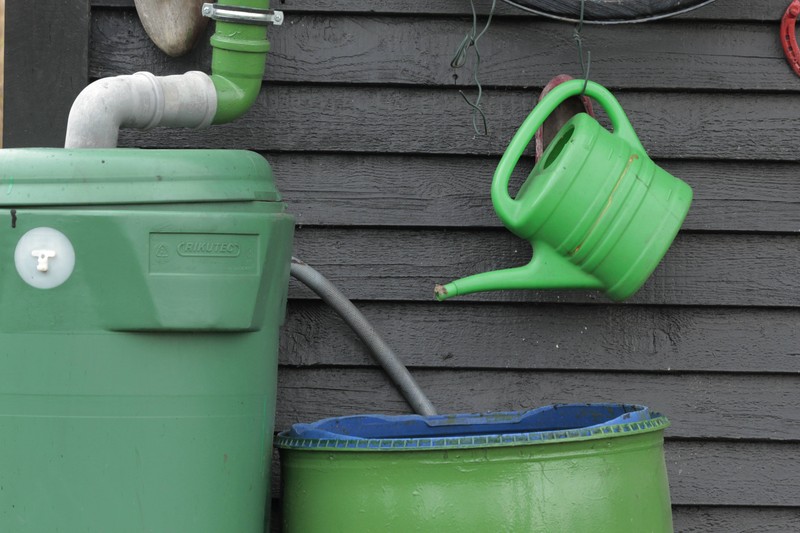 Eine Regentonne im Garten ist praktisch, doch viele begehen dabei einen Fehler.