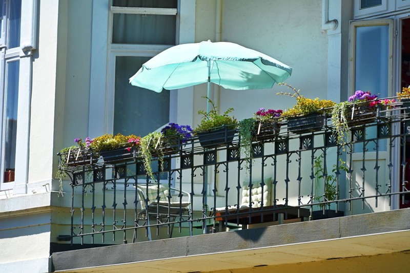 Pflanzen gestalten Garten, Balkon und Terrasse besonders einladend.