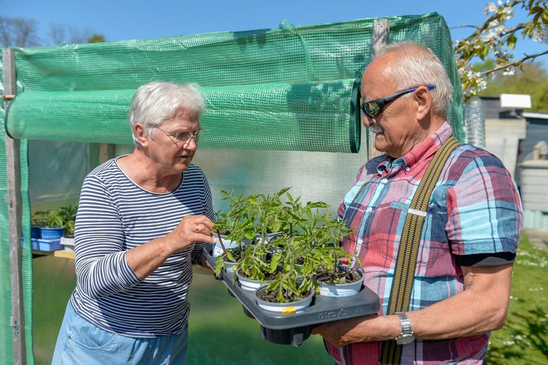 Wer einen Kleingarten pachtet, ist verpflichtet, Obst und Gemüse anzubauen.