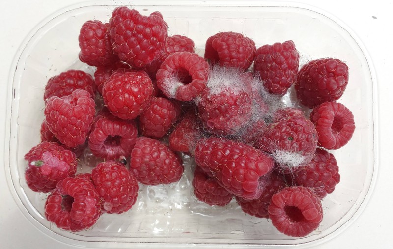 Bei sommerlichen Temperaturen schimmelt Obst und Gemüse oft besonders schnell.