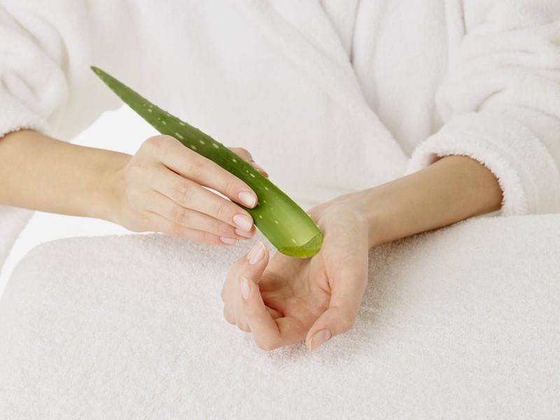 Aloe Vera kühlt die Haut bei Sonnenbrand und unterstützt die natürliche Regeneration.