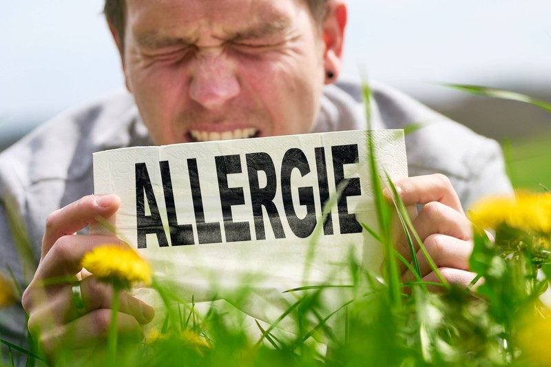 Antihistaminika lindern allergisch bedingte Beschwerden wie Juckreiz, Niesen oder Pustelbildung.