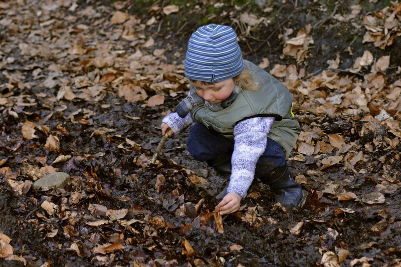 Kinder sind besonders gefährdet, den Fuchsbandwurm einzuschleppen.