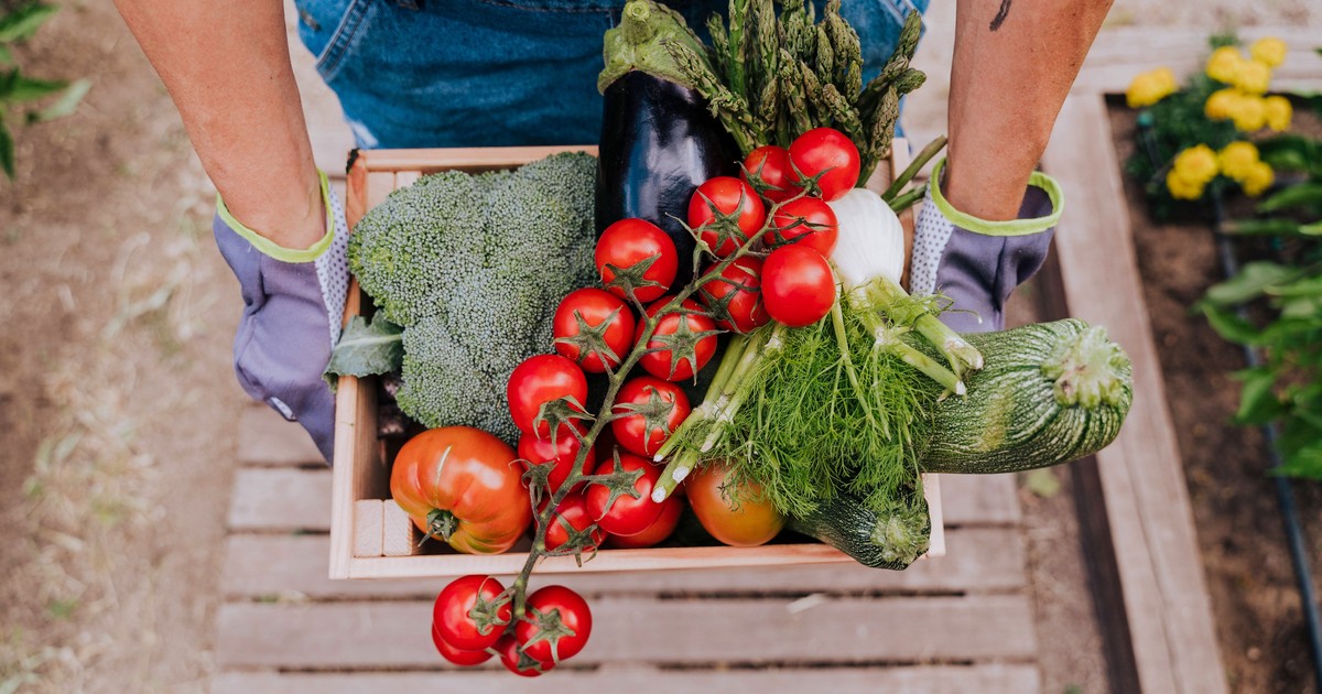 Obst und Gemüse saisonal einkaufen: 10 Fehler, die du im Herbst nicht machen solltest