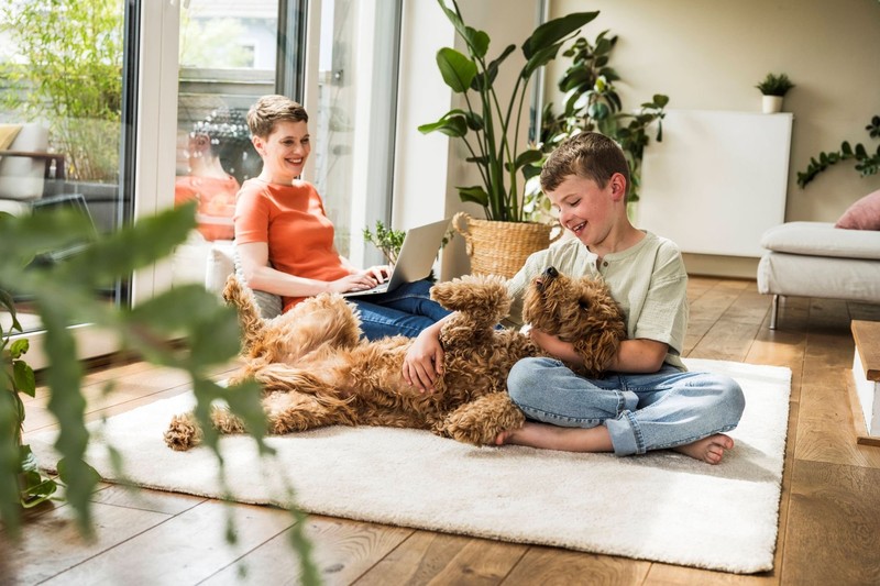 Für Hunde gelten besondere Regeln in der Hausgemeinschaft.