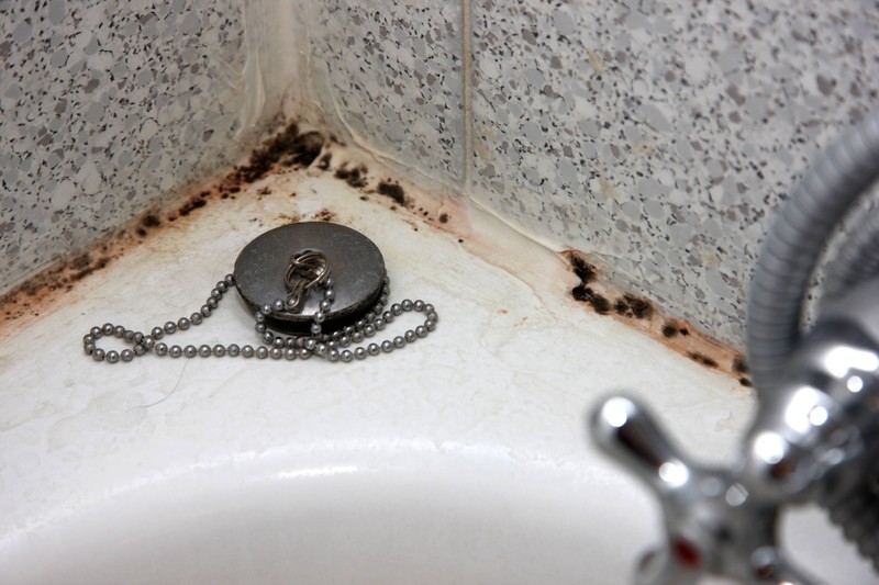 Werden Fugen plötzlich schwarz, ist das ein Alarmsignal.