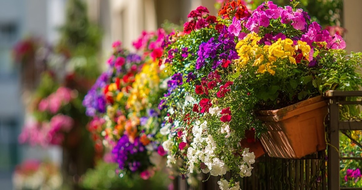 SOS -Tipps: So rettest du deine Pflanzen