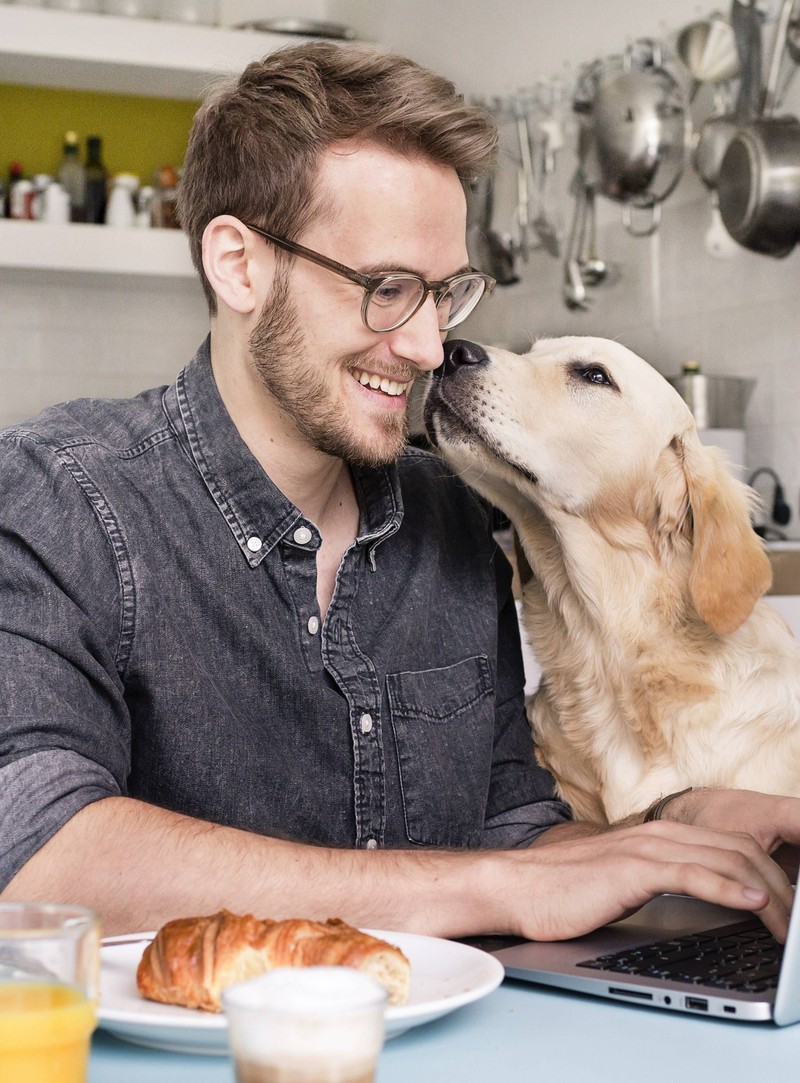 Zusammenfassung – Die wichtigsten Punkte auf einen Blick.