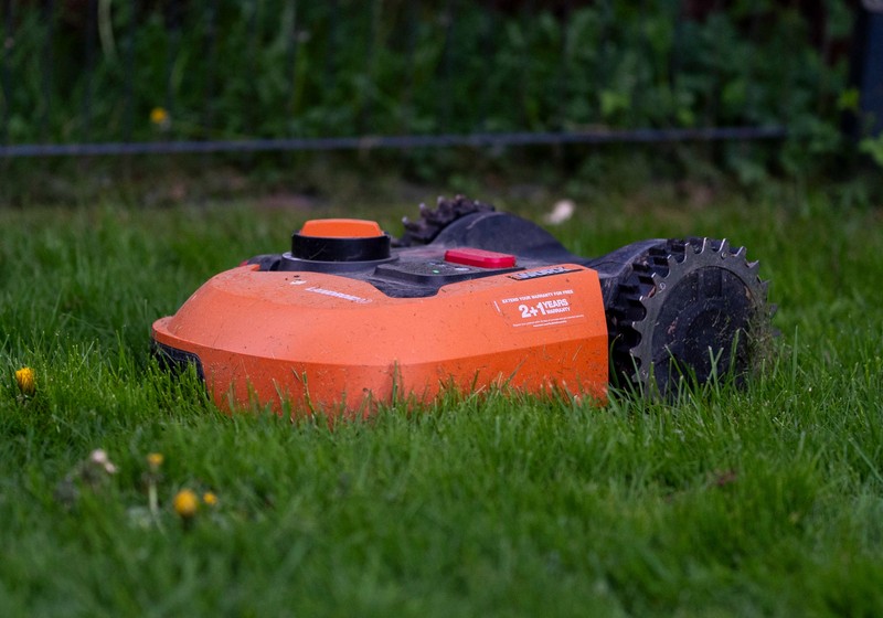 Wie bekommst du im Frühjahr deinen Garten wieder auf Vordermann?