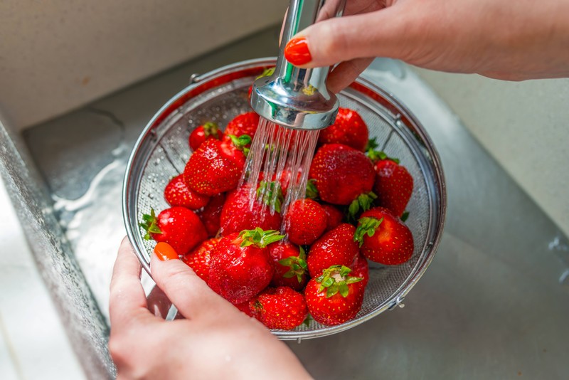 Erdbeeren sollte man erst kurz vor dem Verzehr vorsichtig waschen.