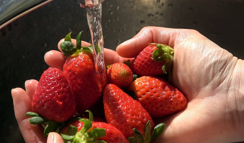 Gute Erdbeeren erkennt man vor allem an der Farbe und den Blättern.