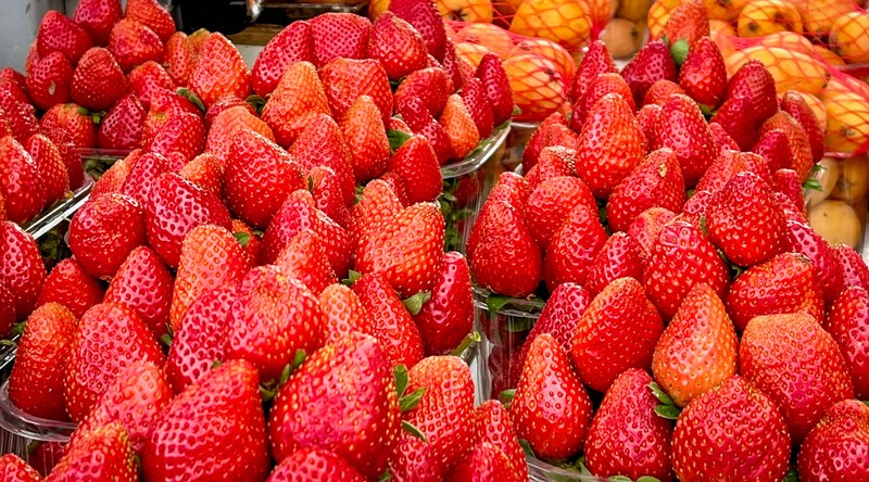 Wer Erdbeeren selber pflückt, statt sie im Supermarkt zu kaufen, tut nicht nur der Umwelt etwas Gutes.